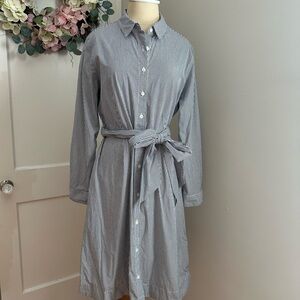 Striped Blue Shirt Dress J Crew